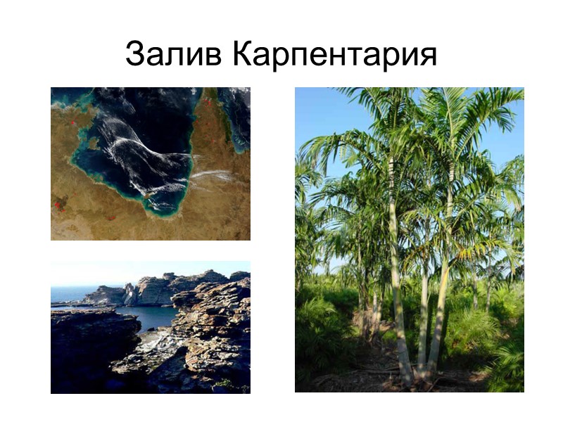 Залив Карпентария